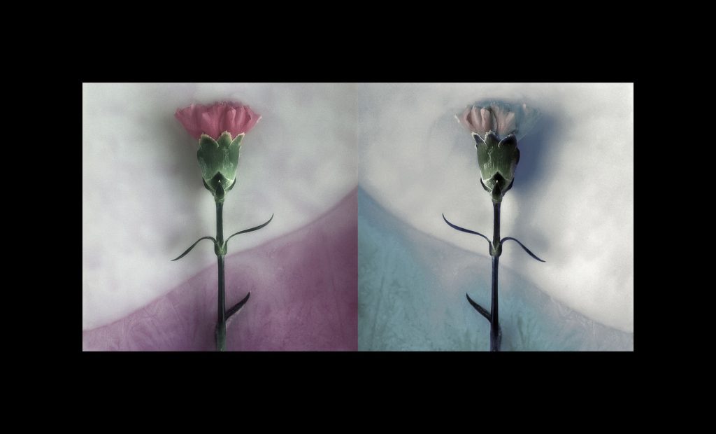 A Personal Tribute by Nrupen Madhvani