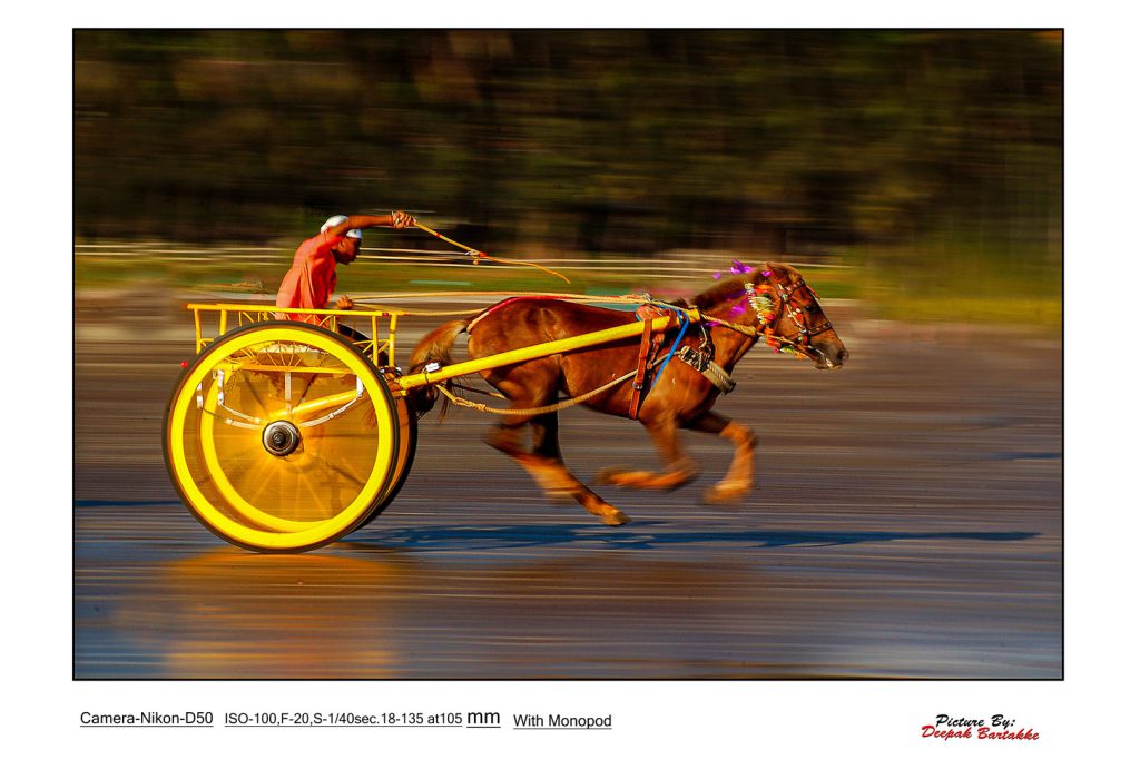 PANNING: THE ART OF MOTION IN PHOTOGRAPHY